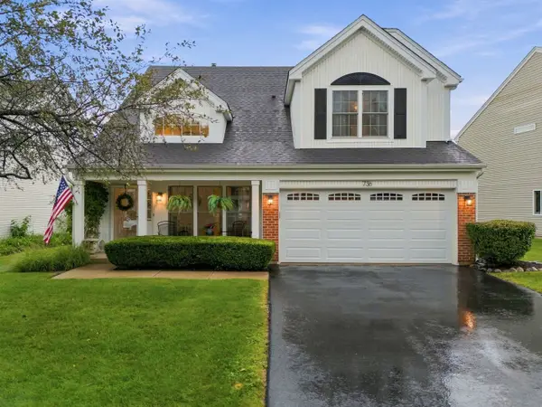 736 Wildflower Circle, Naperville, IL 60540