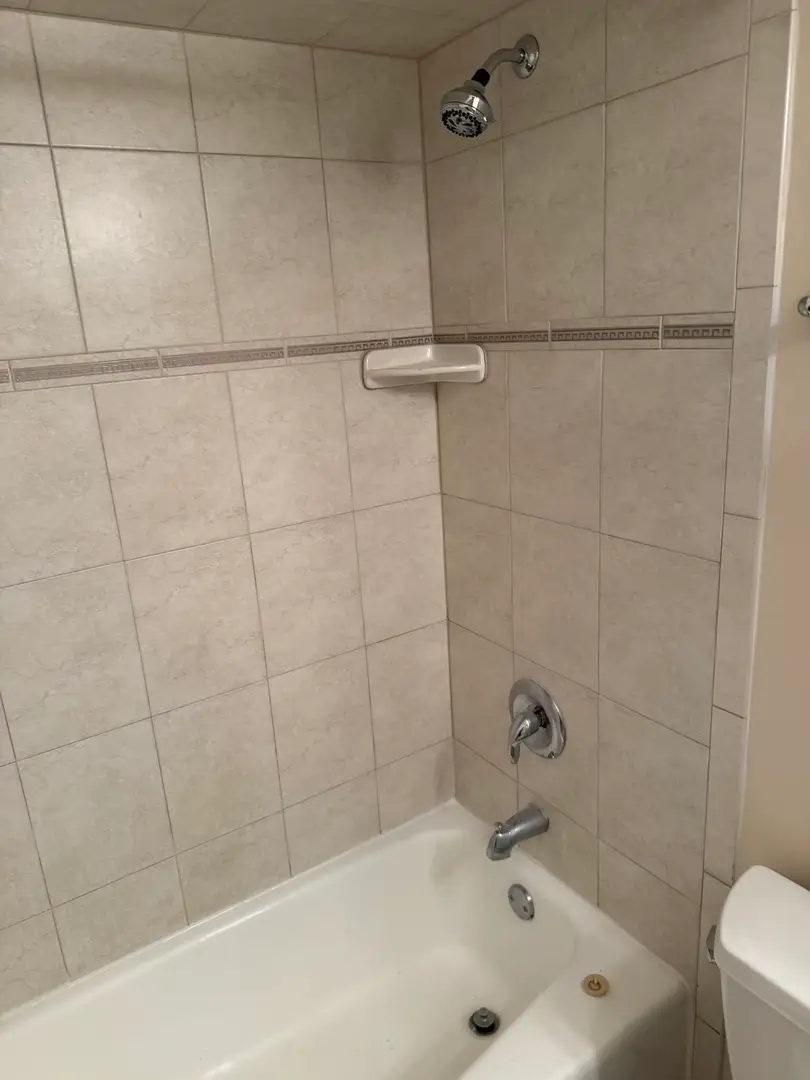 1211 Brown Street #3C, Des Plaines, IL 60016 - #3