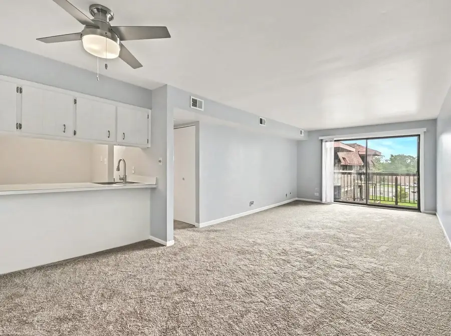 830 Elder Road #406, Homewood, IL 60430 - #3