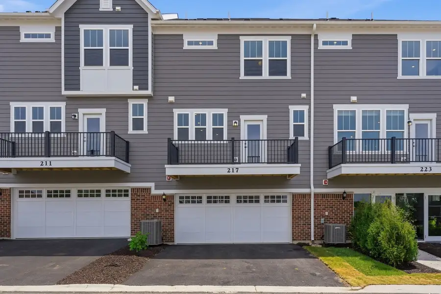 217 Steeple Bush Lane #10242, Schaumburg, IL 60193 - #2