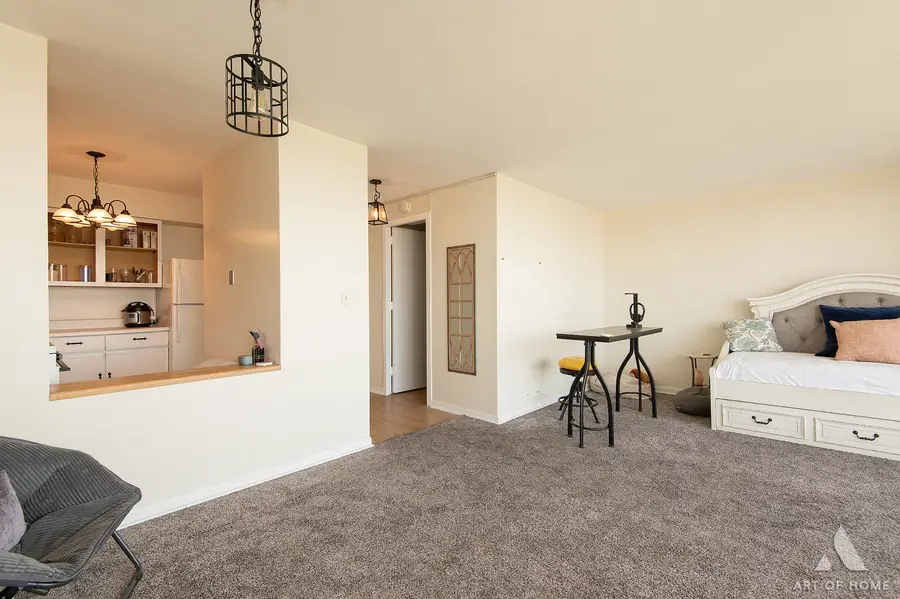 3001 S Michigan Avenue #2406, Chicago, IL 60616 - #2