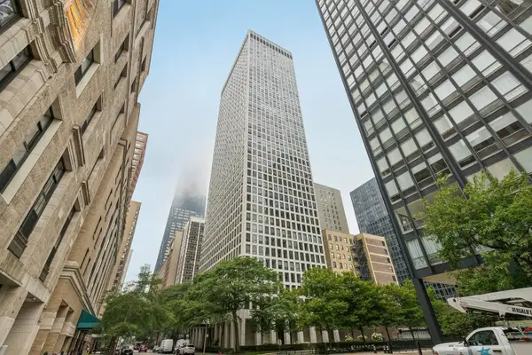 260 E Chestnut Street #2505, Chicago, IL 60611