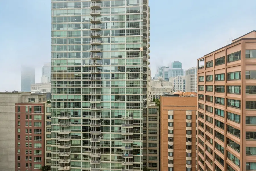 260 E Chestnut Street #2505, Chicago, IL 60611 - #3