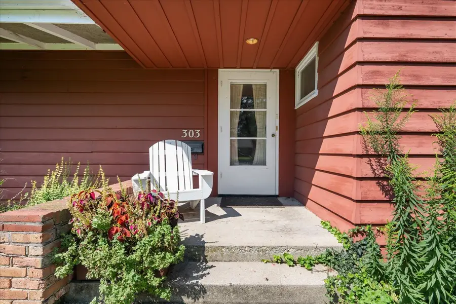 303 Central Avenue, Aurora, IL 60506 - #2