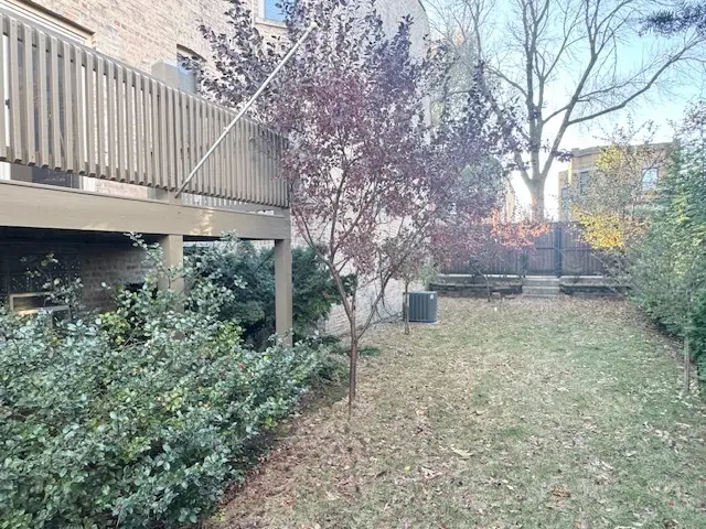 3307 S Lowe Avenue, Chicago, IL 60616 - #3