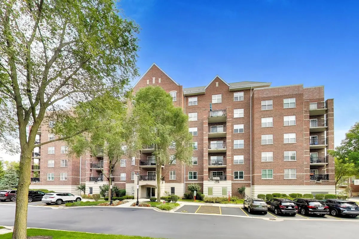 410 W Mahogany Court #205, Palatine, IL 60067 - #1