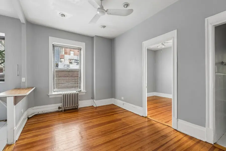 20 E Goethe Street #206, Chicago, IL 60610 - #3