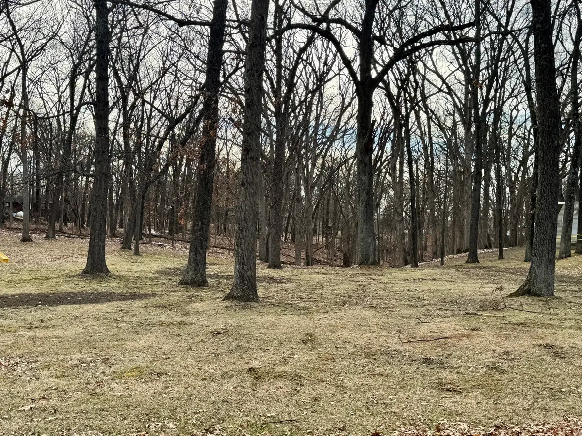 6 Acapulco Drive, Putnam, IL 61560 - #1