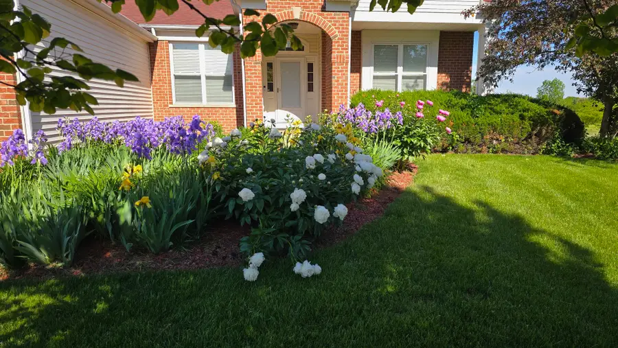 11819 Wolf Creek Lane, Plainfield, IL 60585 - #2