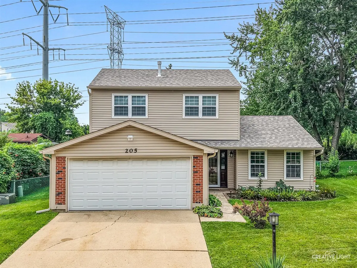 205 Yellow Pine Drive, Bolingbrook, IL 60440 - #1