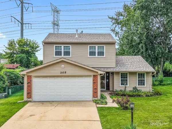 205 Yellow Pine Drive, Bolingbrook, IL 60440
