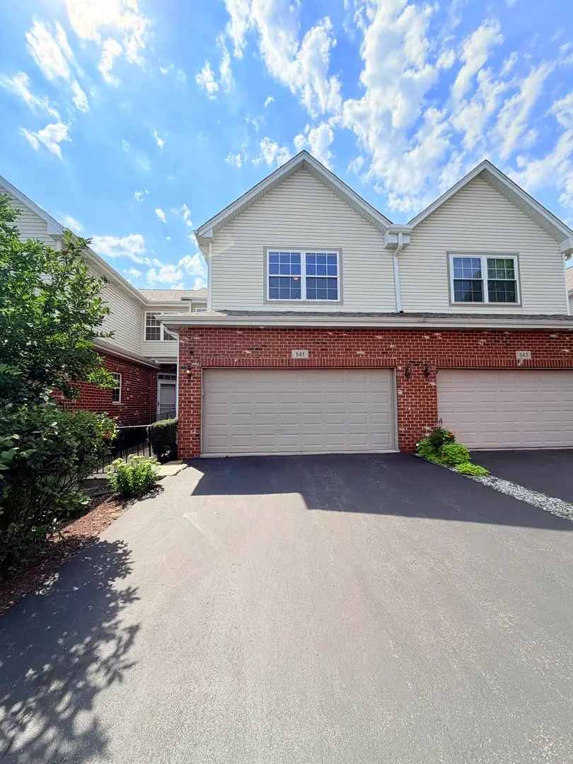 541 Goodwin Drive, Bolingbrook, IL 60440 - #1