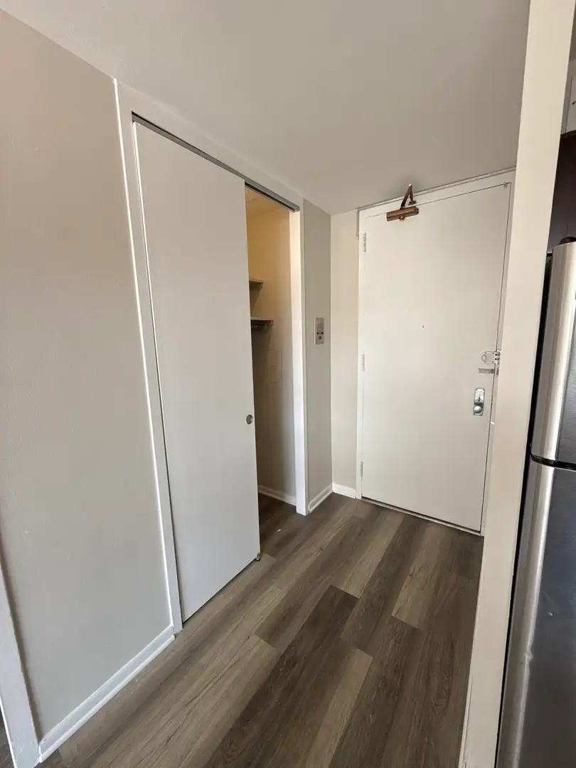 4800 S Chicago Beach Drive #308S, Chicago, IL 60615 - #2