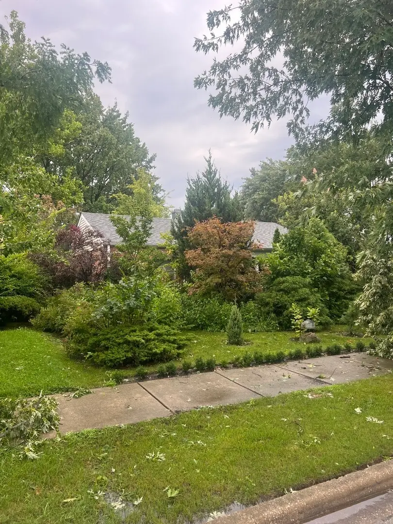 18621 Morris Avenue, Homewood, IL 60430 - #1