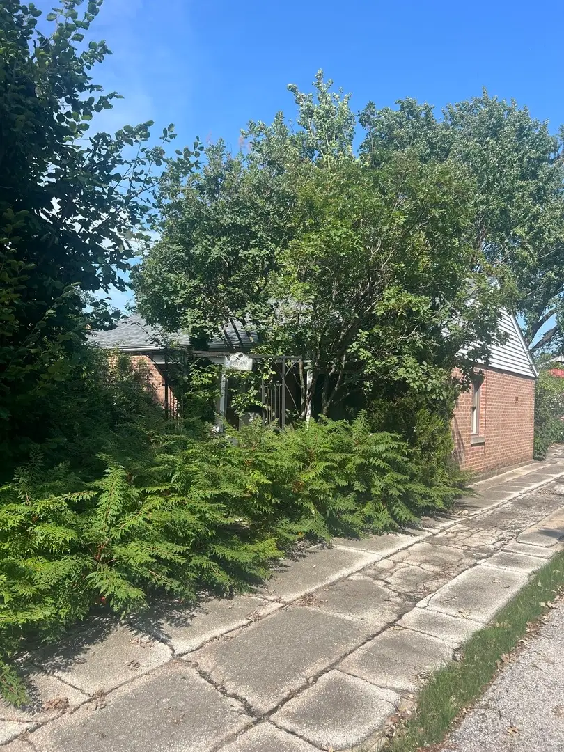 18621 Morris Avenue, Homewood, IL 60430 - #2