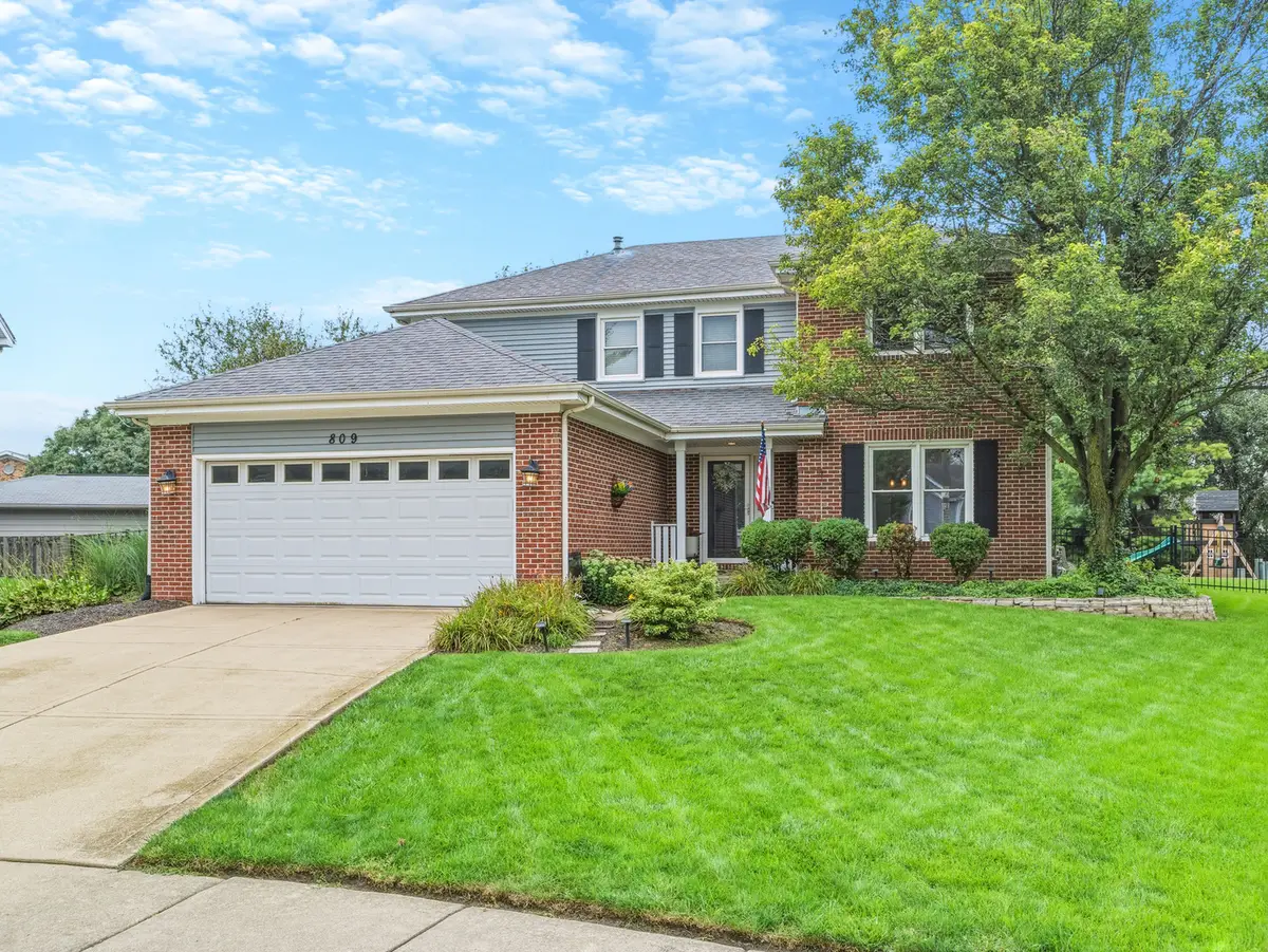 809 Bruno Court, Naperville, IL 60563 - #1