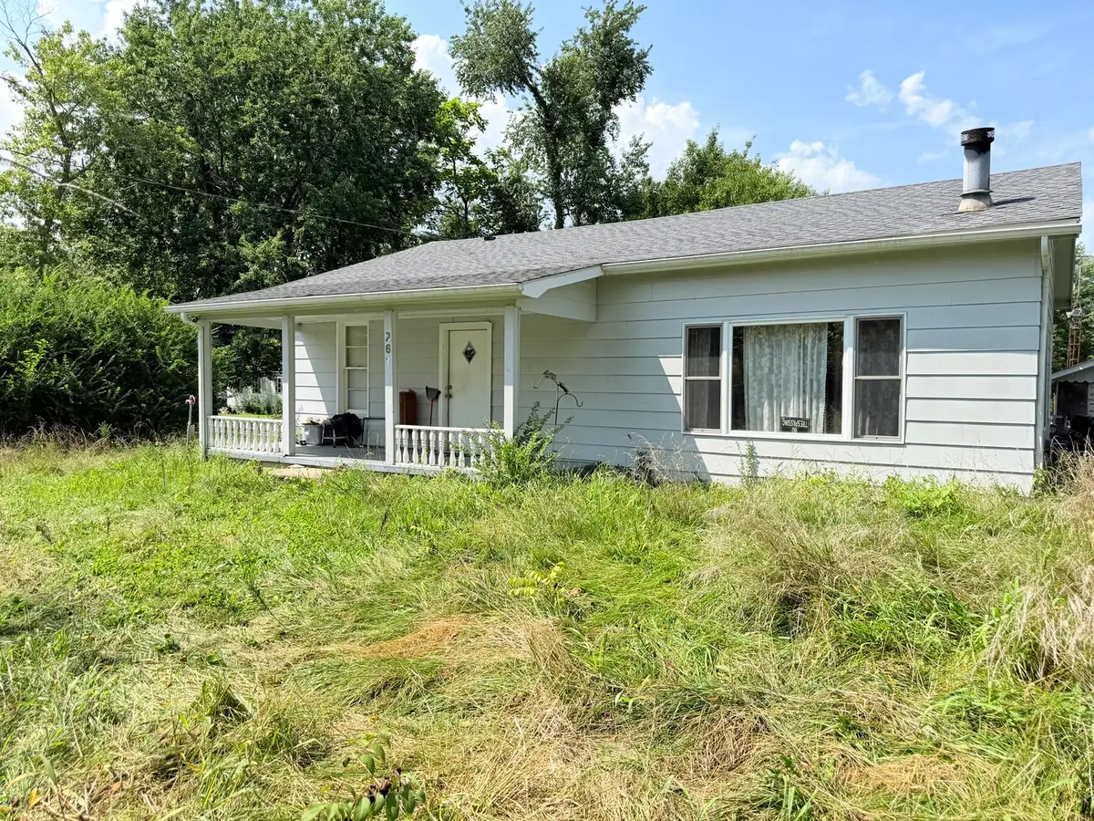 261 E Trammel Street, Carrier Mills, IL 62917 - #1