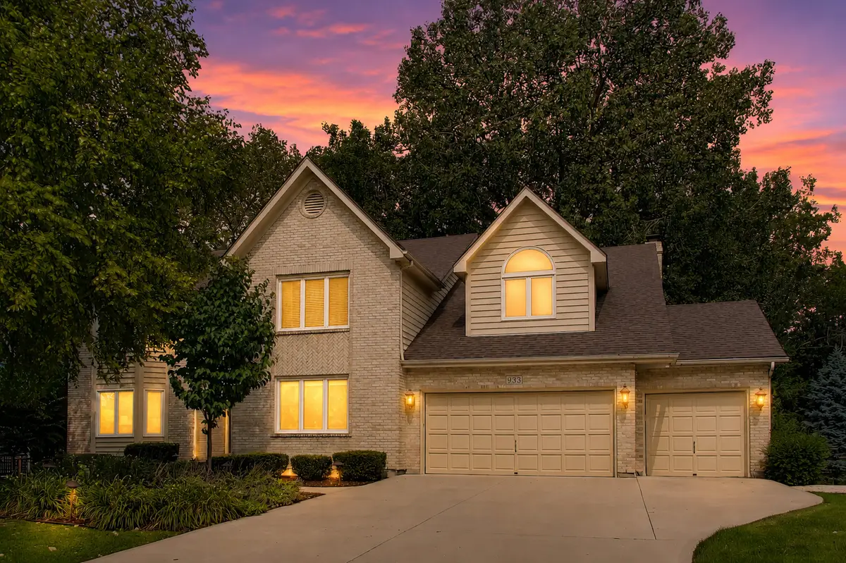 933 Spindletree Avenue, Naperville, IL 60565 - #1