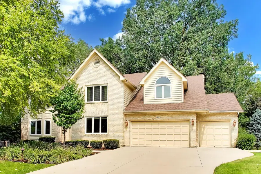 933 Spindletree Avenue, Naperville, IL 60565 - #2