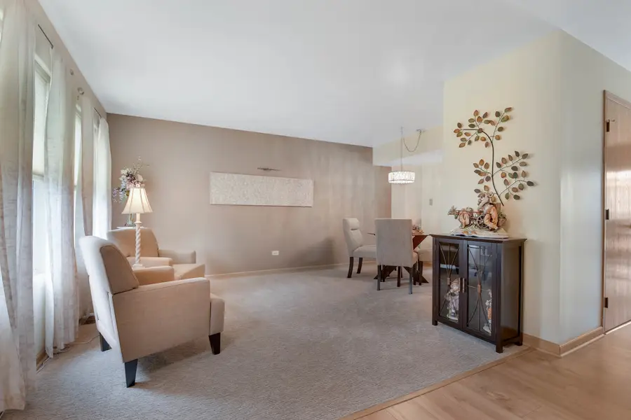 1506 Lasser Drive, Plainfield, IL 60586 - #3