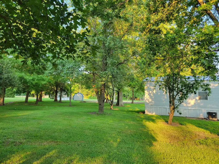 181 W Wall Street, Ullin, IL 62992 - #3