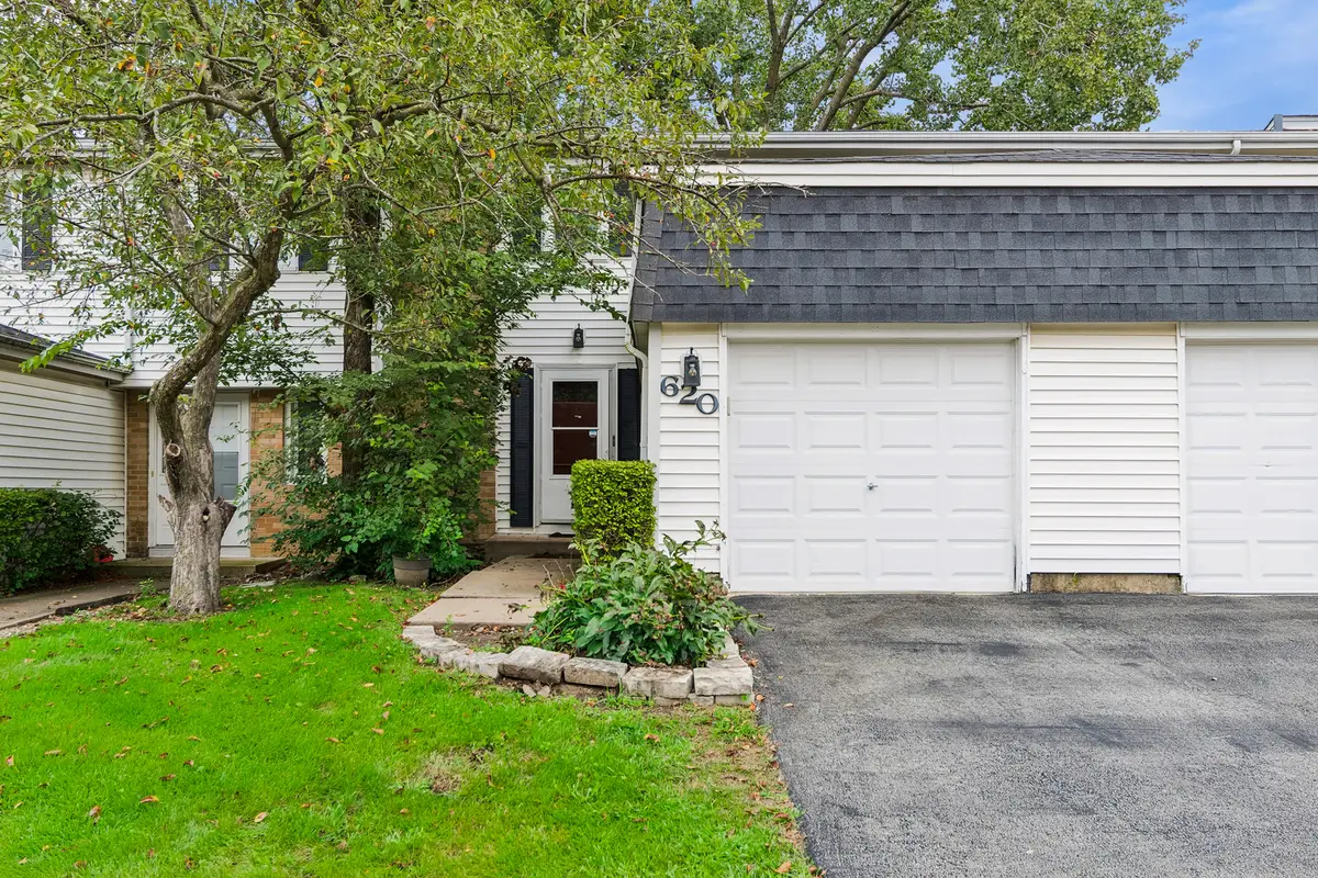 620 Olive Place, Bolingbrook, IL 60440 - #1