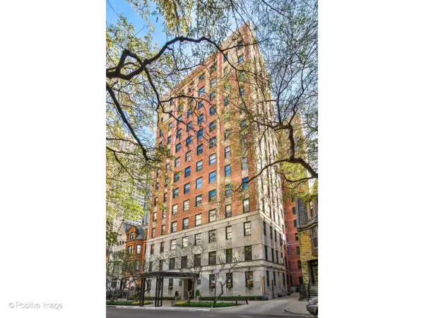 73 E Elm Street #1B, Chicago, IL 60611