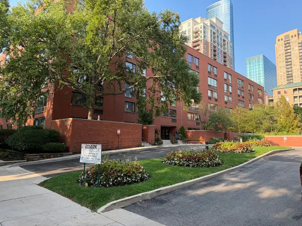 1143 S Plymouth Court #501, Chicago, IL 60605