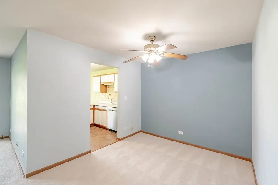 250 Ashbury Lane #3, Roselle, IL 60172 - #3