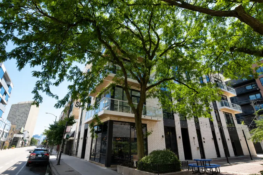 1258 N Milwaukee Avenue #2N, Chicago, IL 60622 - #2