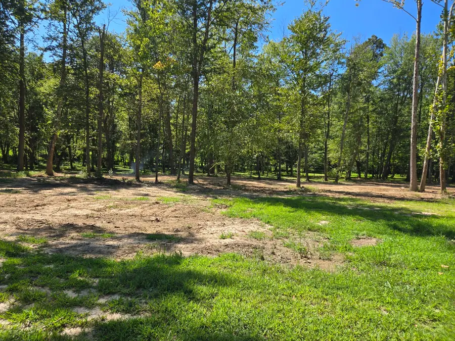 Lot 2 NE Norman Road, Marion, IL 62959 - #3