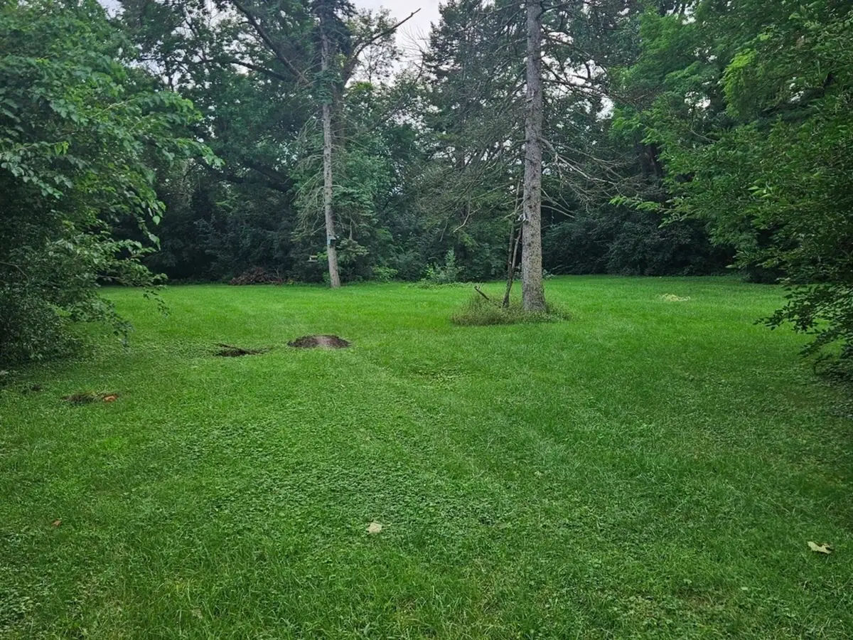 419 W 63rd Street, Westmont, IL 60559 - #1