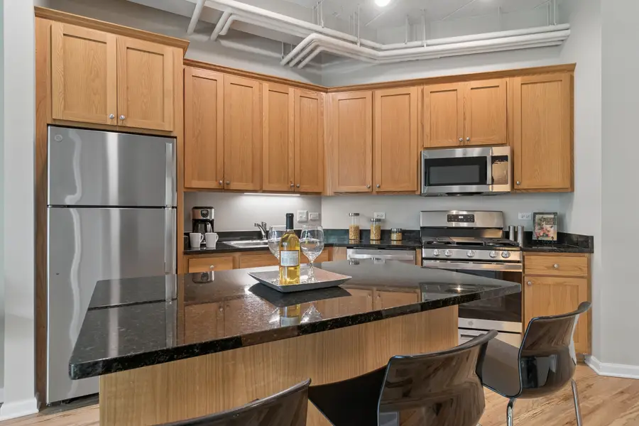 1919 S Michigan Avenue #200, Chicago, IL 60616 - #3