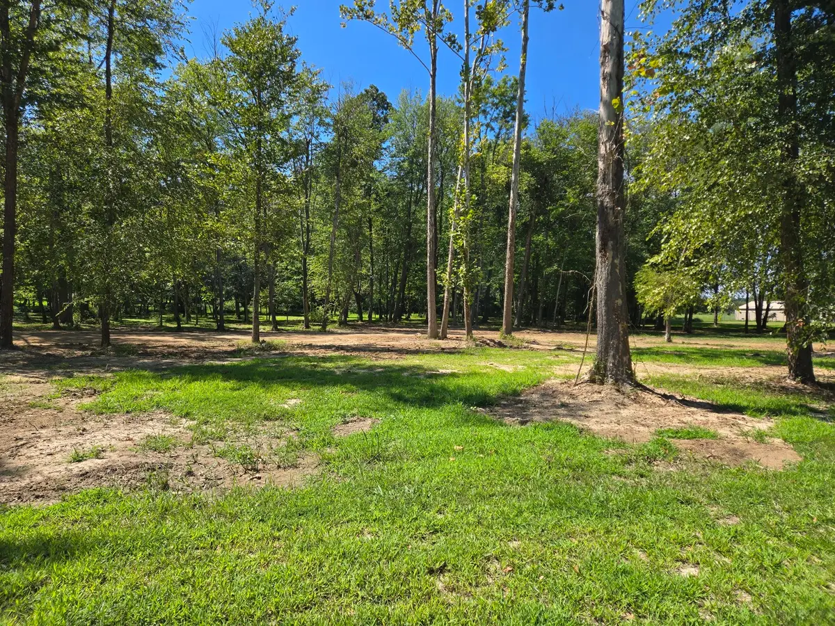 Lot 3 NE Norman Road, Marion, IL 62959 - #1