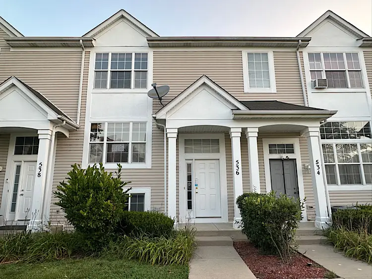 536 Meadow Lily Drive, Joliet, IL 60431 - #1