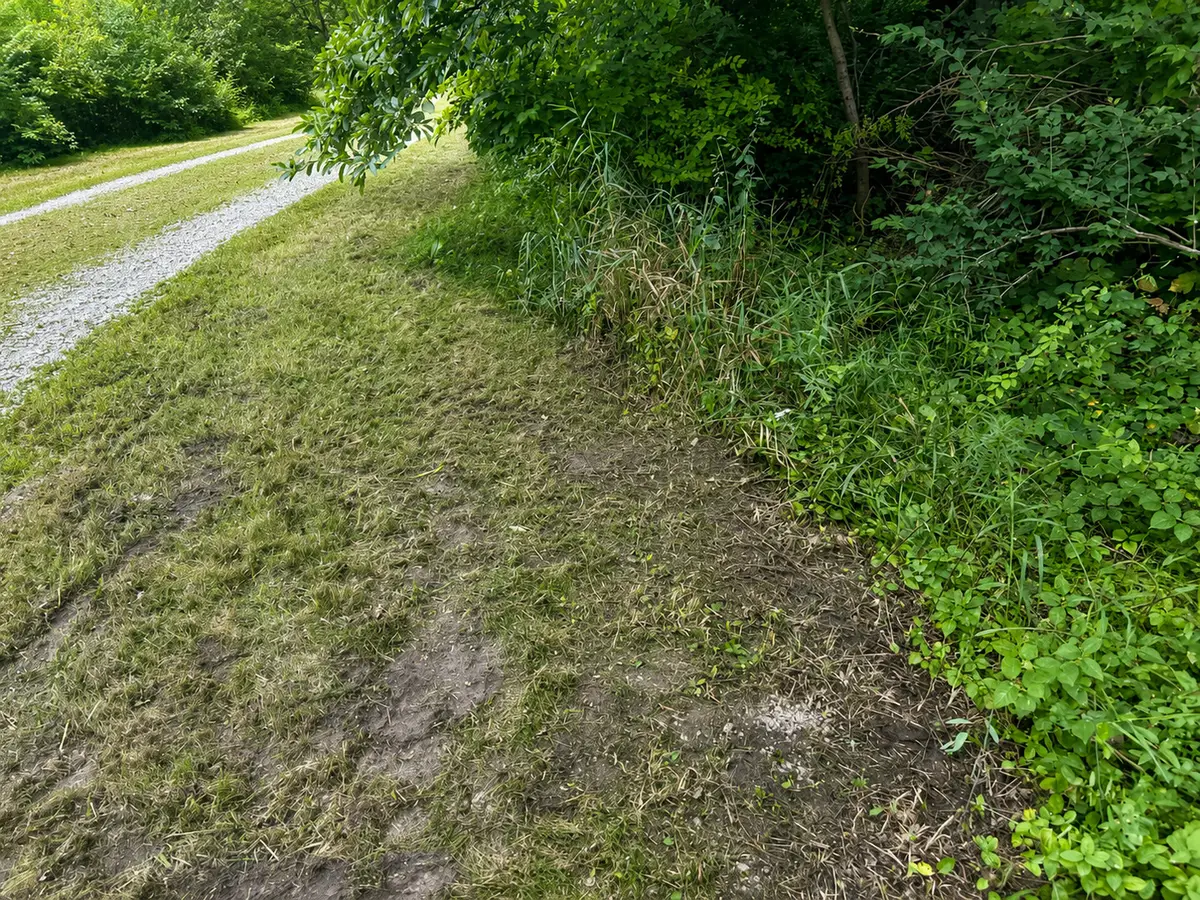 0000 15500 Road, Pembroke, IL 60958 - #1