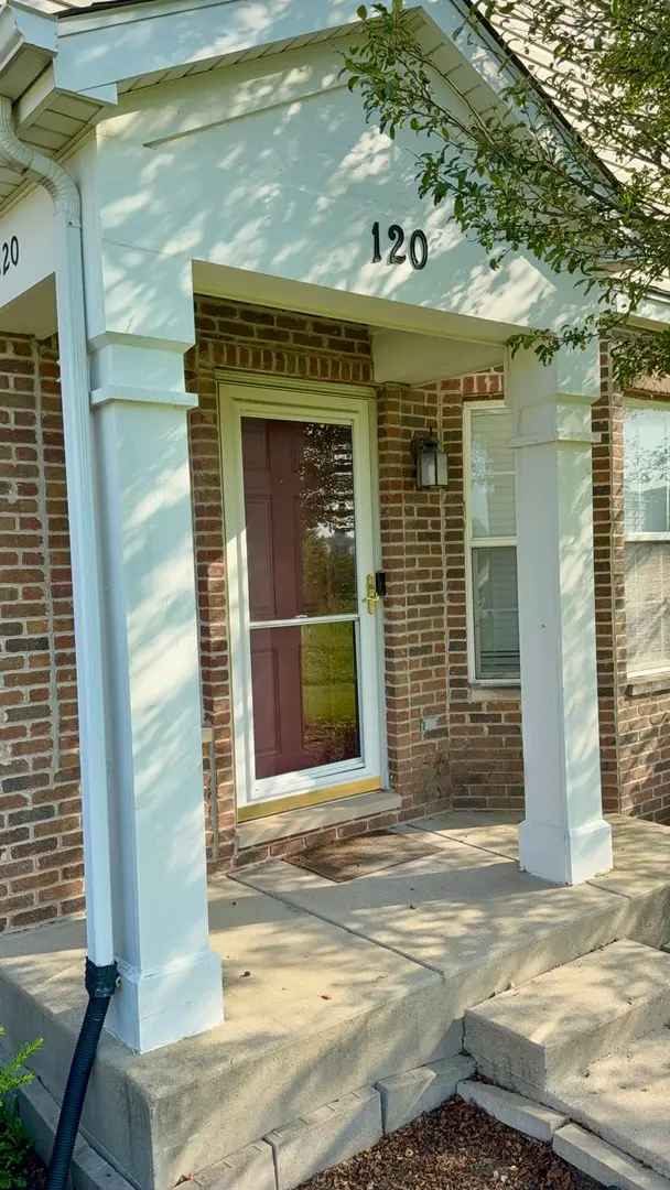 120 Andrew Taras Court, Joliet, IL 60435 - #2