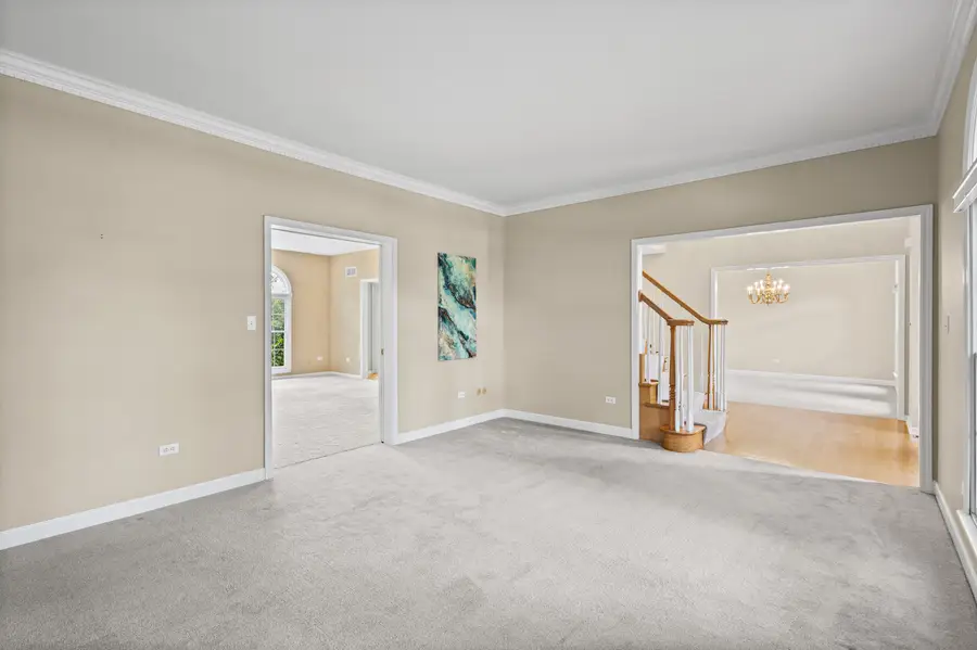24245 Cropland Drive, Plainfield, IL 60544 - #3