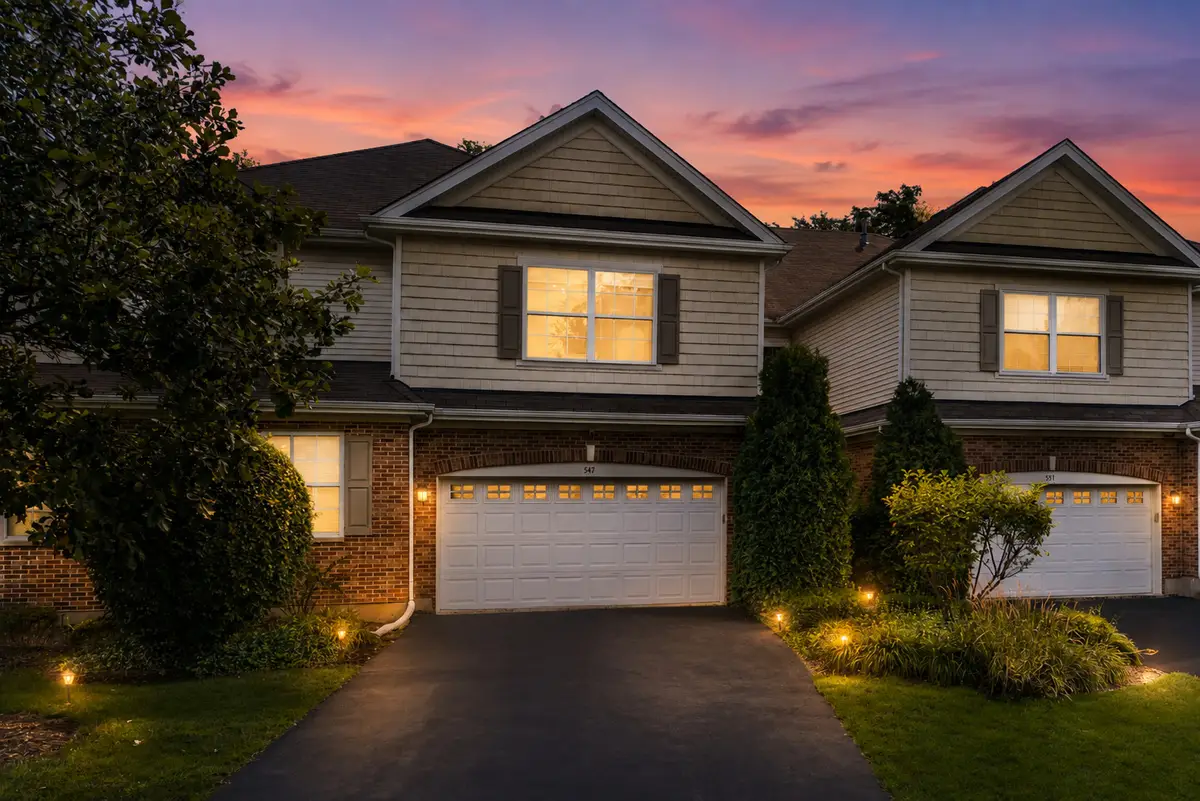547 Bobby Ann Court, Roselle, IL 60172 - #1