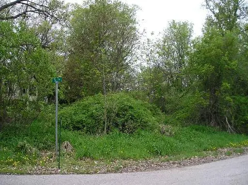 West Riverside Drive, McHenry, IL 60051 - #3