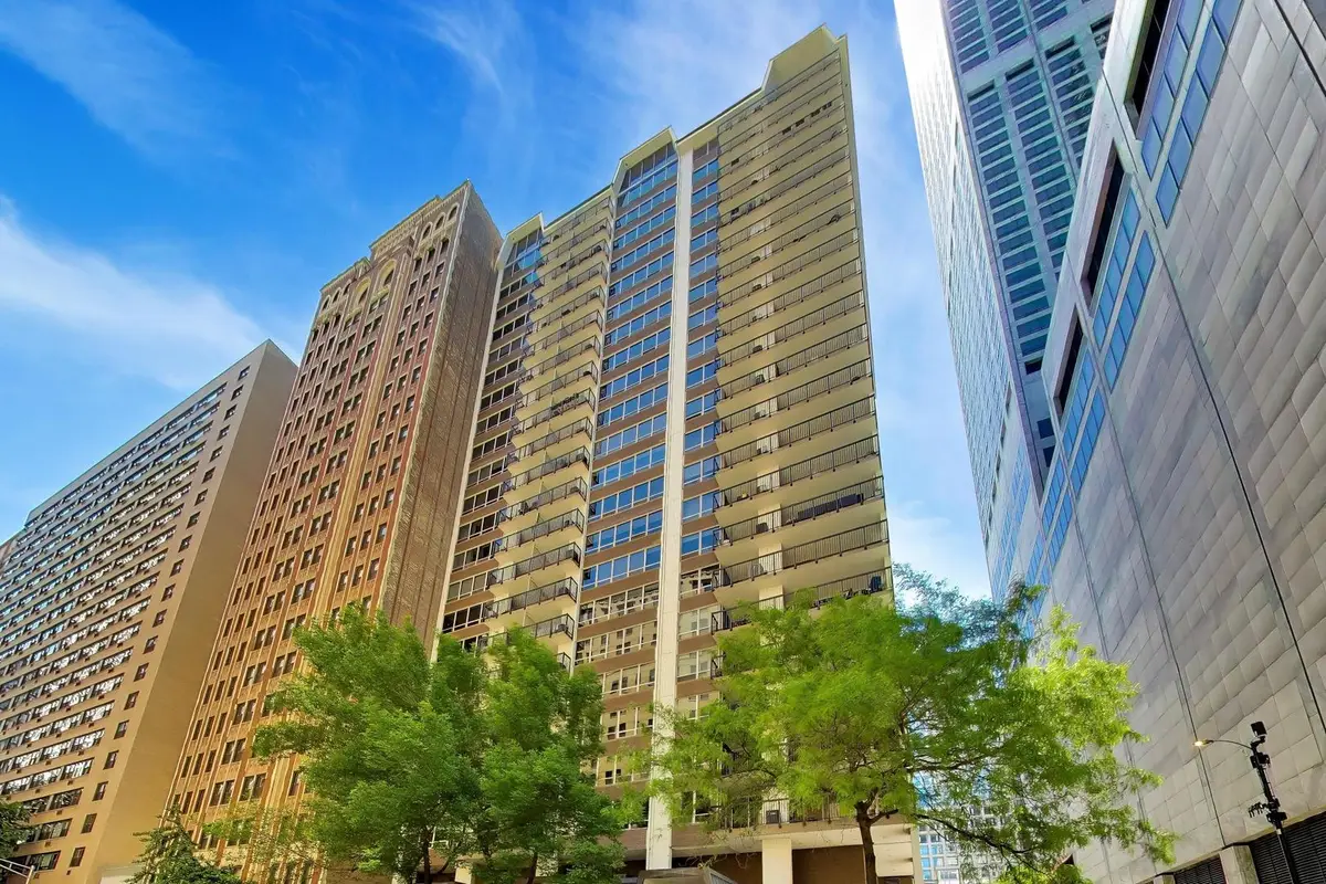 201 E Chestnut Street #3A, Chicago, IL 60611 - #1