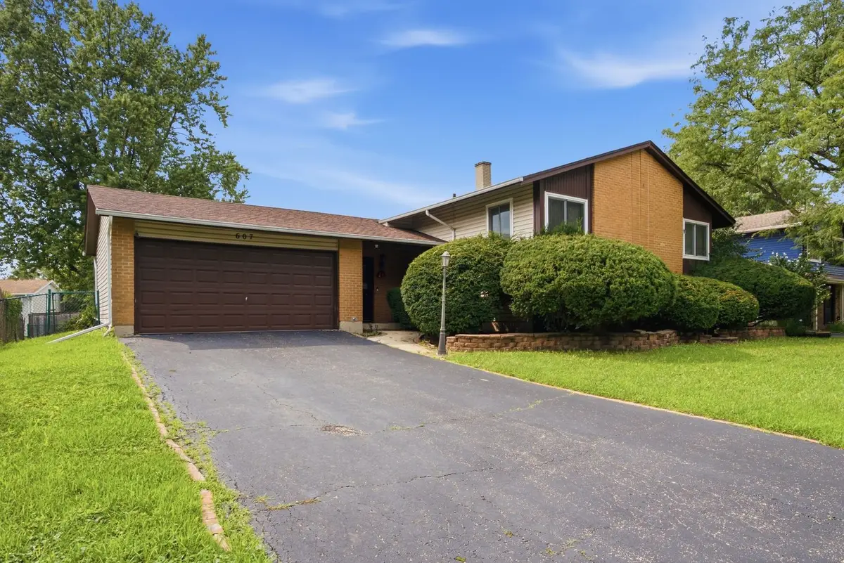 607 N Ashbury Avenue, Bolingbrook, IL 60440 - #1