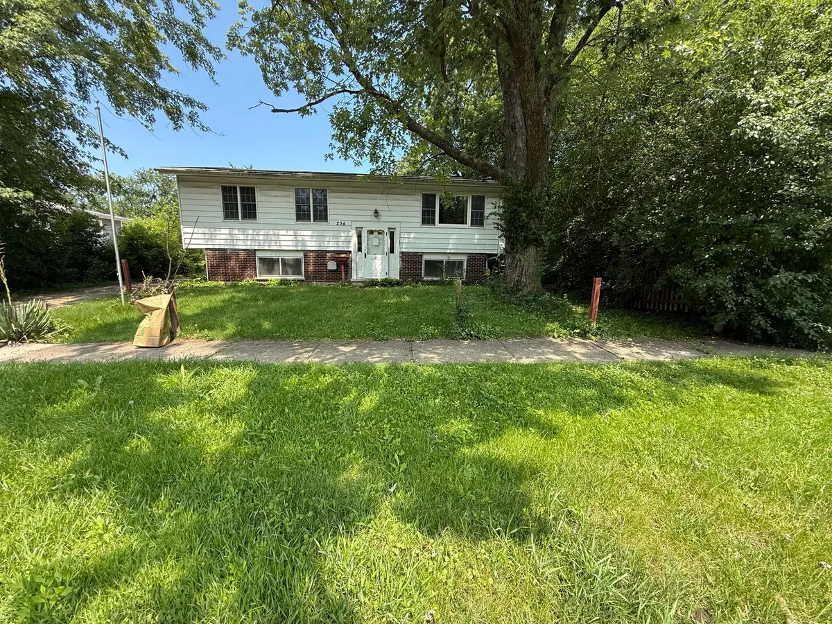 234 Hickory Street, Park Forest, IL 60466 - #1