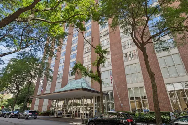 1325 N State Parkway #12E, Chicago, IL 60610