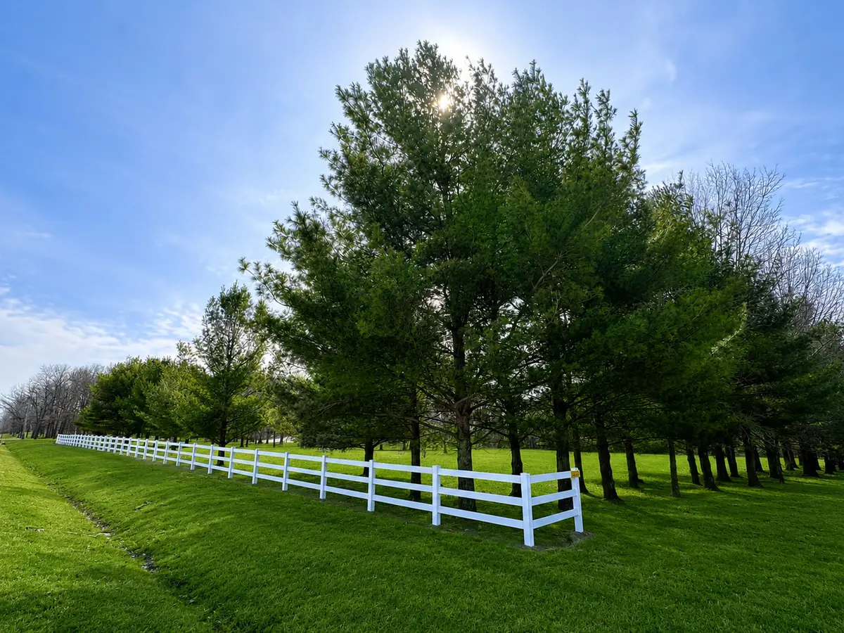 19435 W Manteno Road, Wilmington, IL 60481 - #1