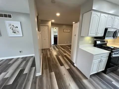 21331 Illinois Street, Matteson, IL 60443 - #3