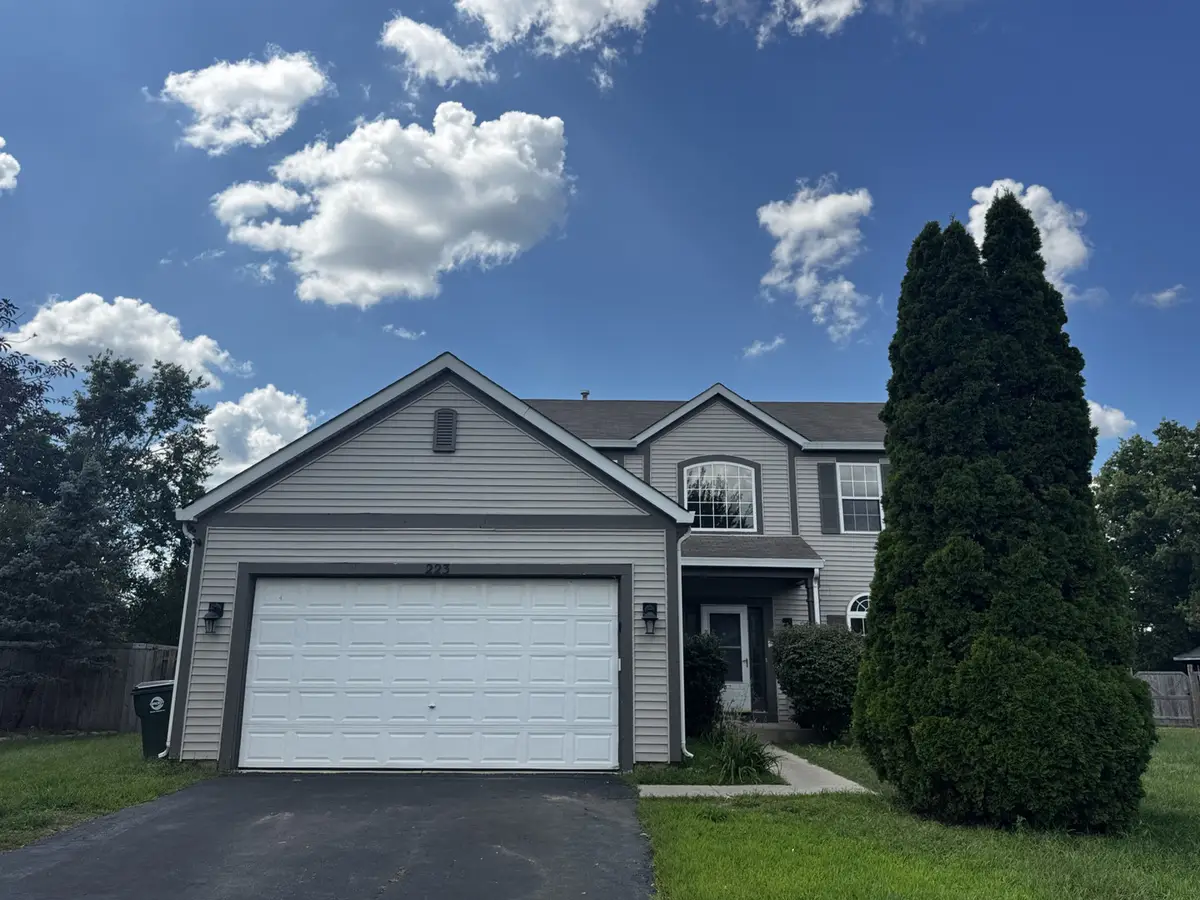 223 Paradise Parkway, Oswego, IL 60543 - #1