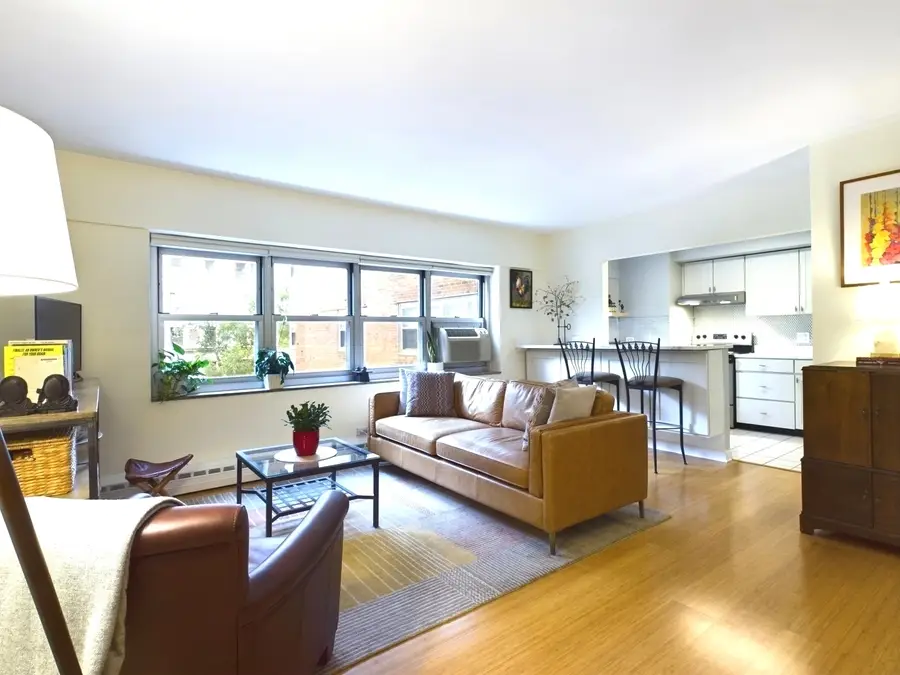 4980 N Marine Drive #432, Chicago, IL 60640 - #2