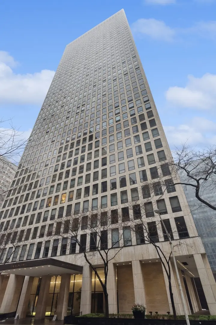 260 E Chestnut Street #312, Chicago, IL 60611 - #1