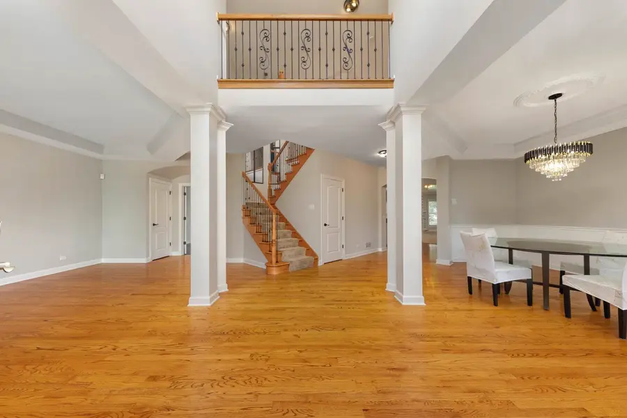 26208 W Milestone Drive, Plainfield, IL 60585 - #3